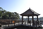 阳光下的木栈道