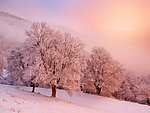 夕阳下的山间雪景