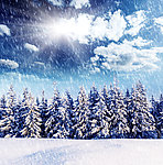 山上雪景