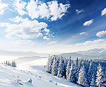 山坡雪景