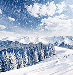 山坡雪景