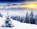 山上雪景