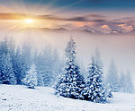 冬季日落雪景