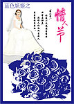 蓝色妖姬 情人节