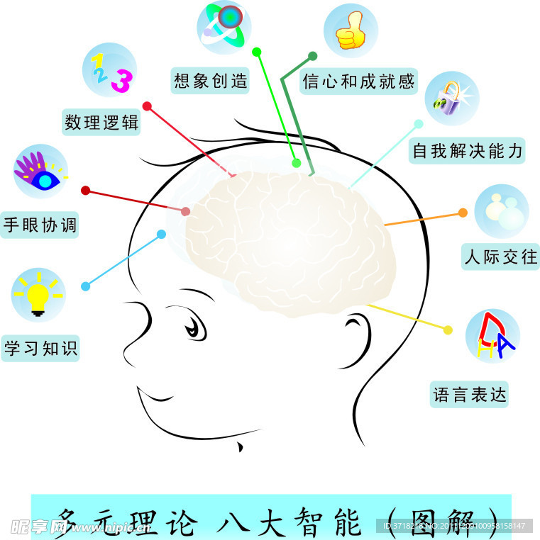 儿童大脑 多元理论 八大智能