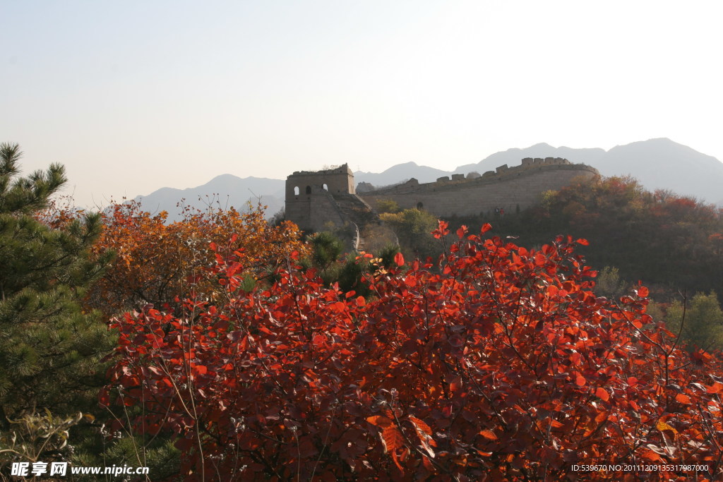 长城 枫页 秋天