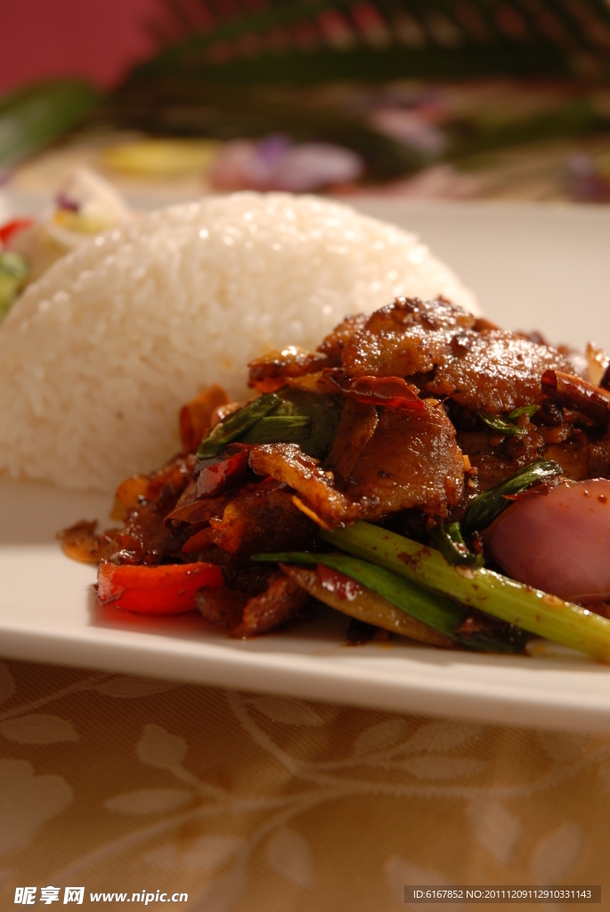 回锅肉饭