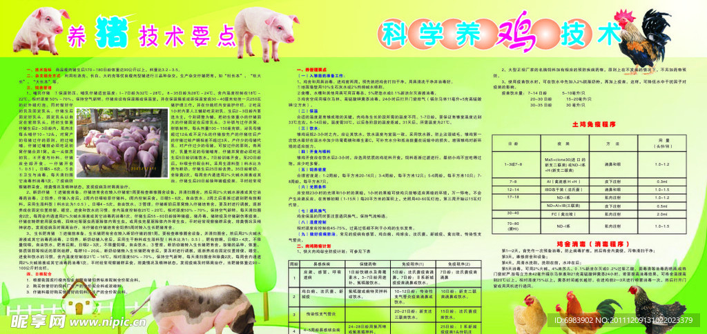 养鸡养猪技术