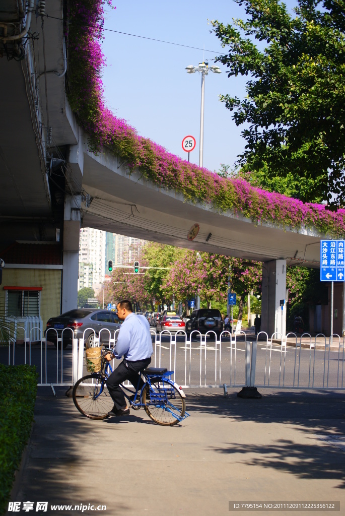 城市风景