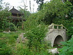龙井问茶