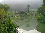 龙井问茶