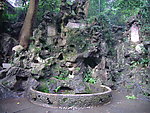 龙井问茶 龙泉