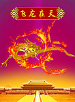 金龙 飞龙在天