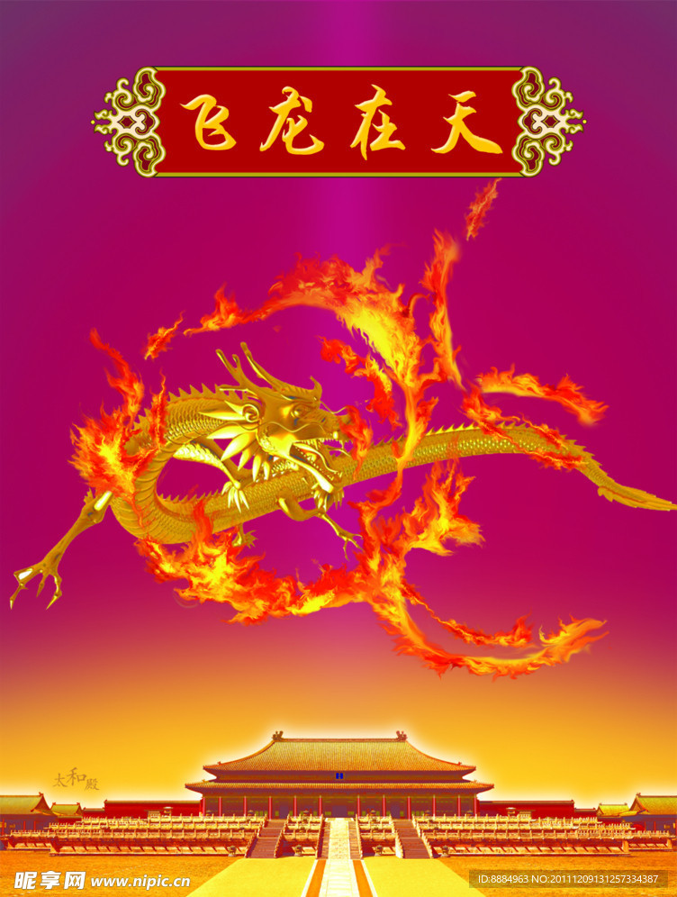 金龙 飞龙在天
