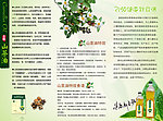 茶油三折页