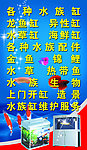 水族馆海报