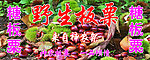 野生板粟