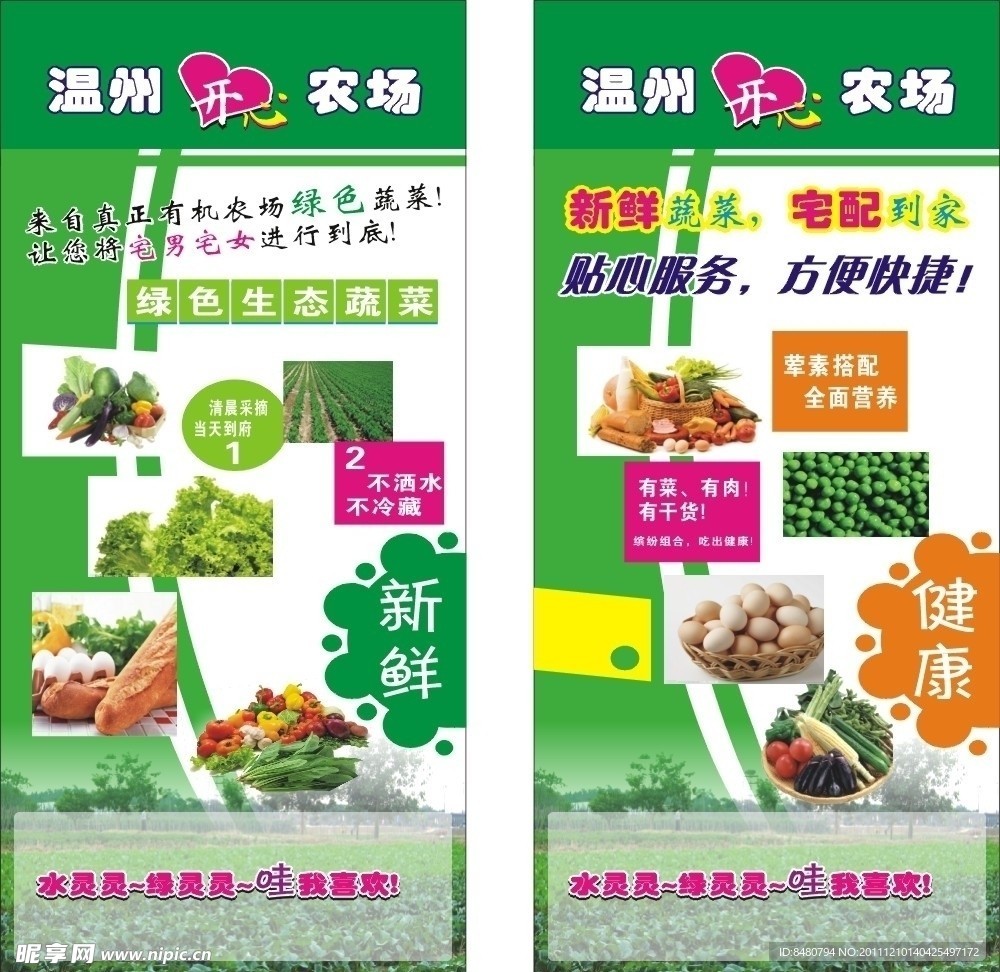 疏菜网店