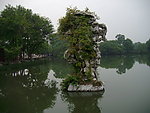 三潭印月 山石