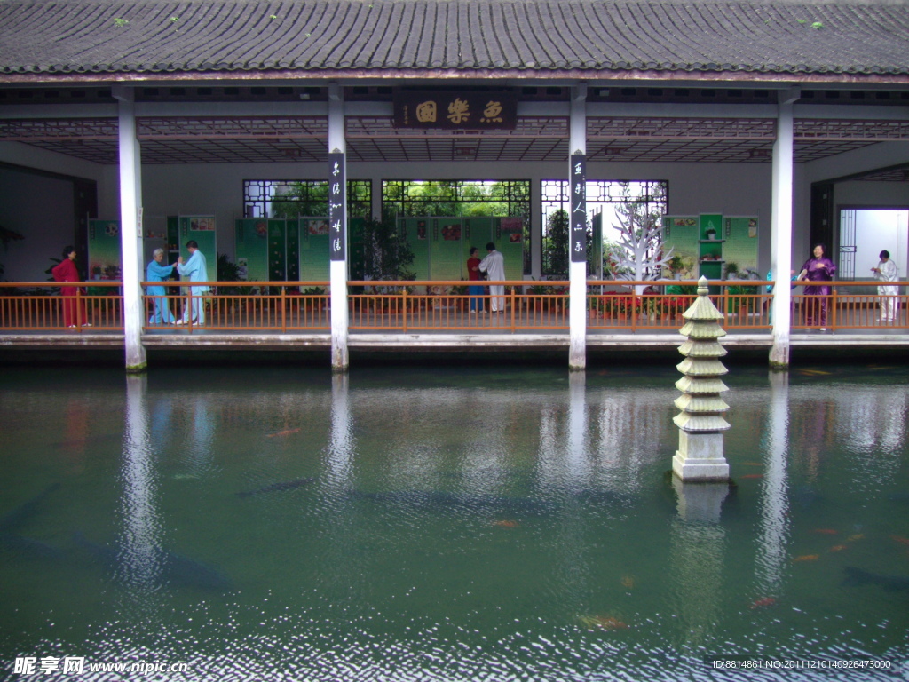 植物园 鱼跃