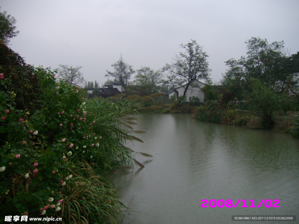 西溪湿地 雨花