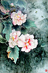 芙蓉艳姿