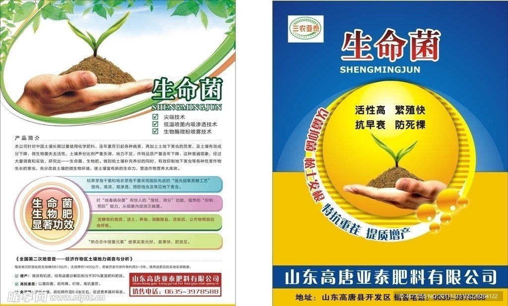 生命菌DM单页