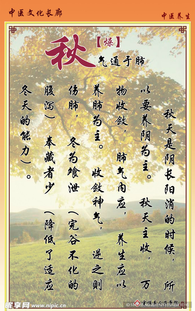 中医养生
