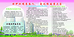 保护环境