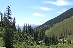 山林