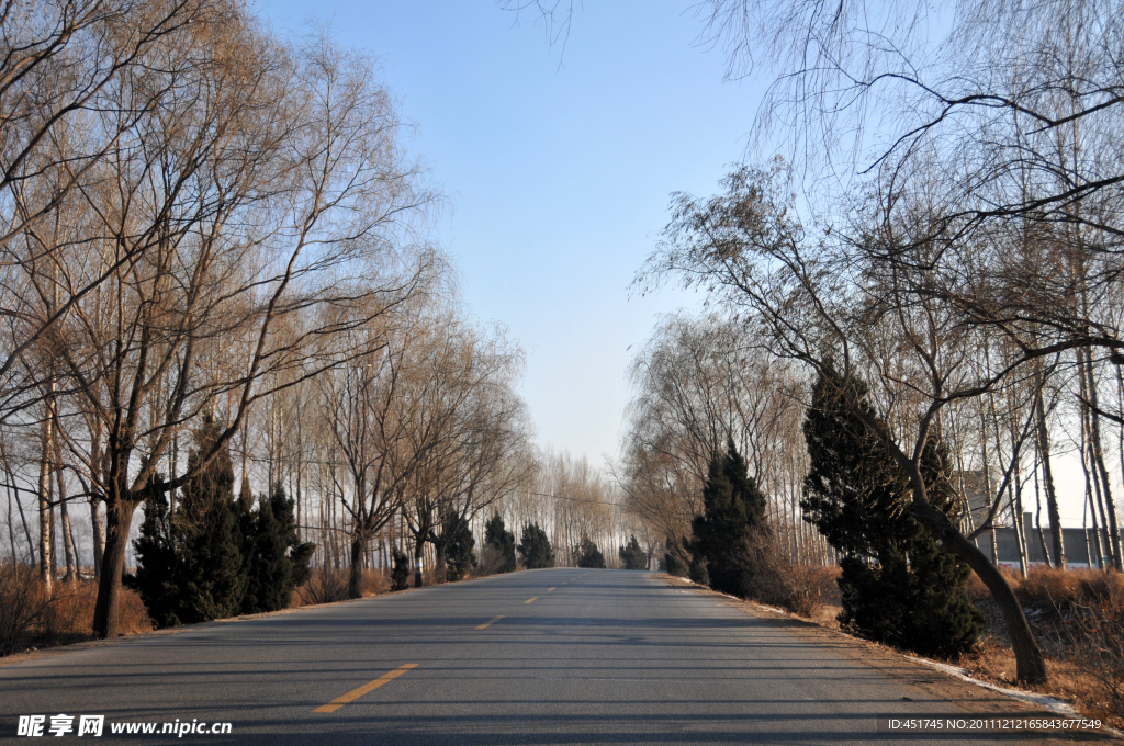 马路