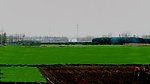 新村的田野