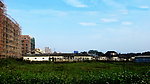发展中的农村