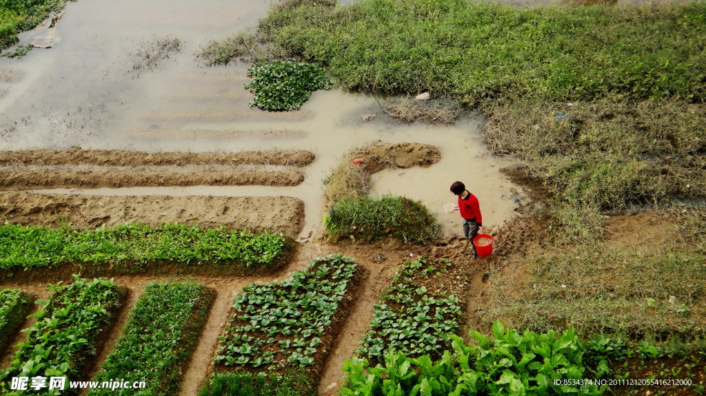 湖边的菜园