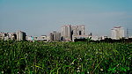 花园新村