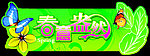 春意盎然
