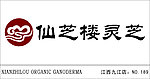 仙芝楼灵芝
