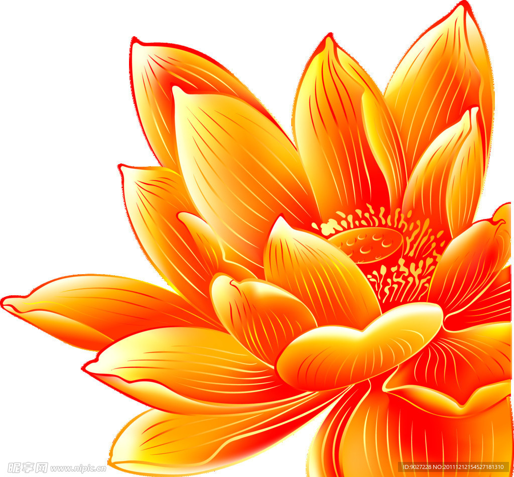 莲花