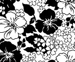 黑白花纹