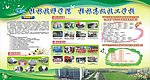学校板报
