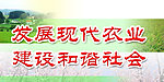 新农村建设标语