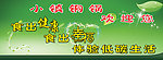 绿色清新背景