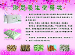 御足养生堂药枕