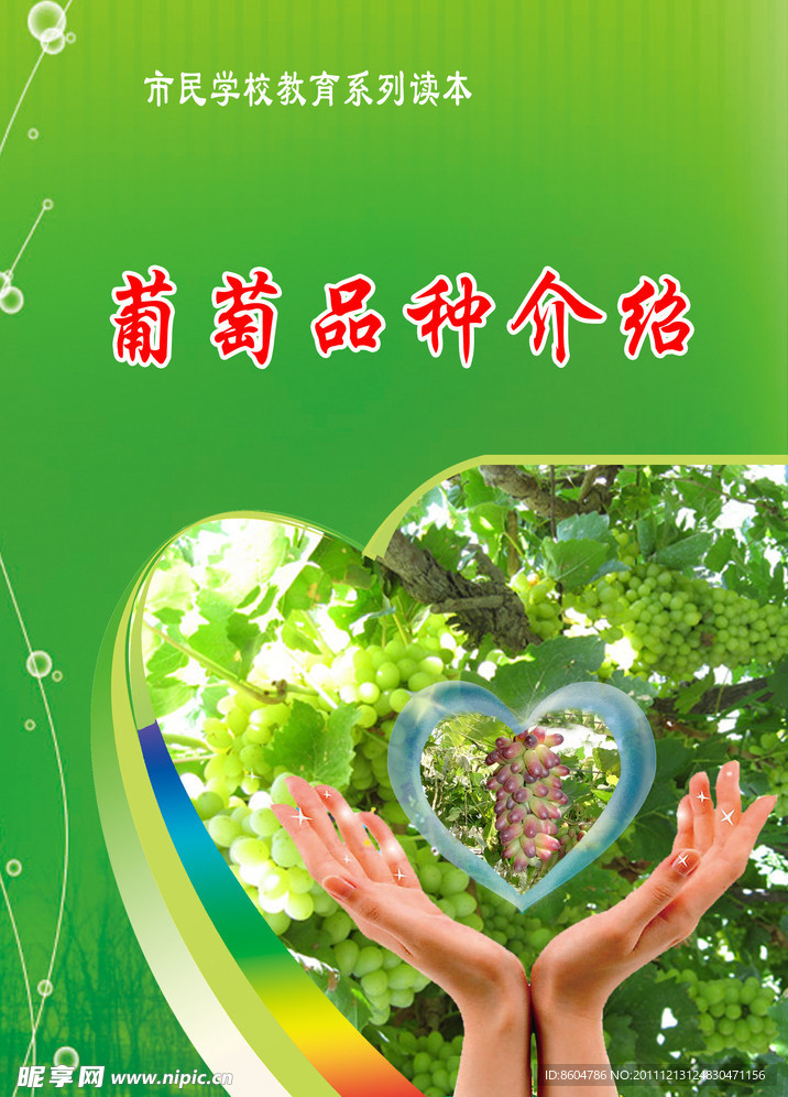 葡萄宣传册封面