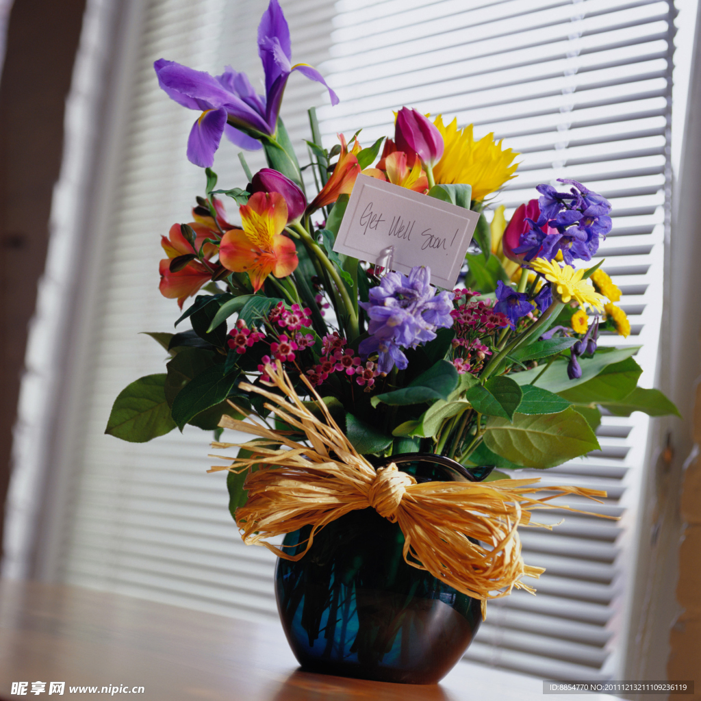 阳台鲜花