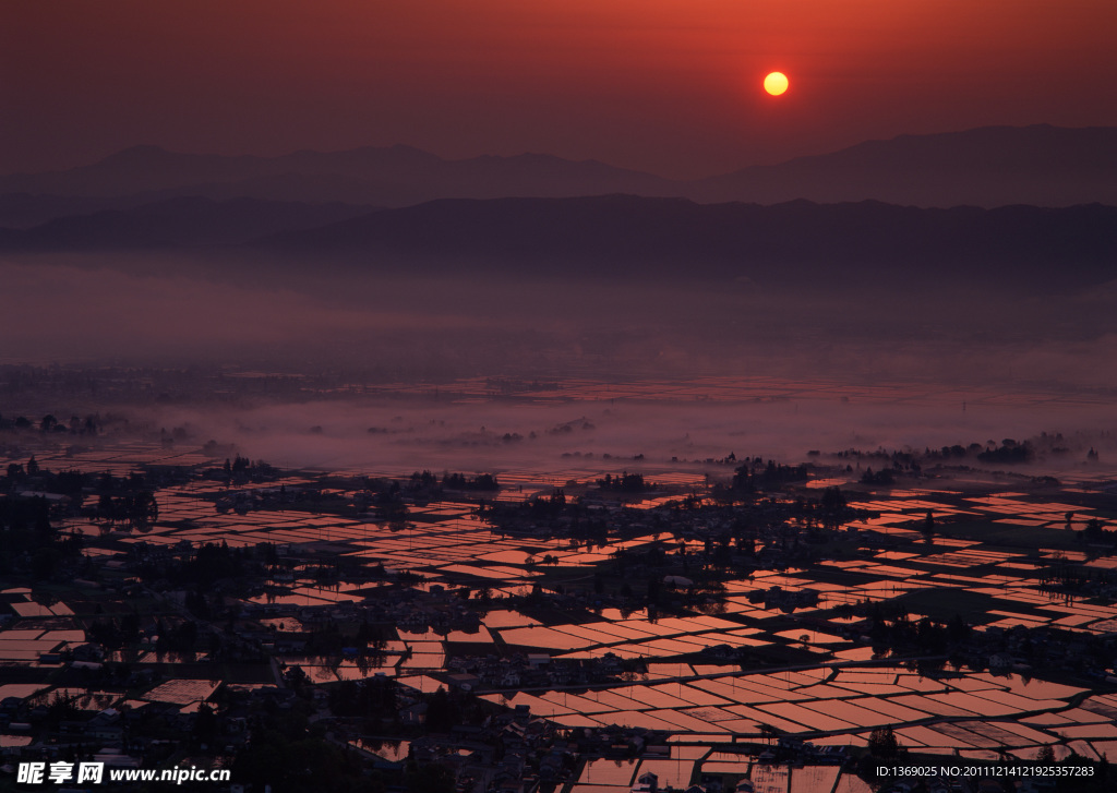 夕阳下的稻田