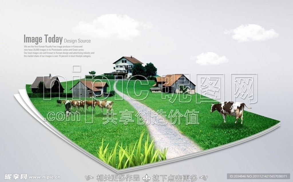 奶牛