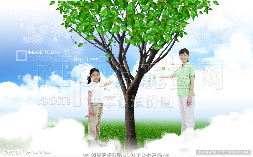 栽培树木