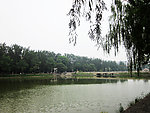 河与柳的结合