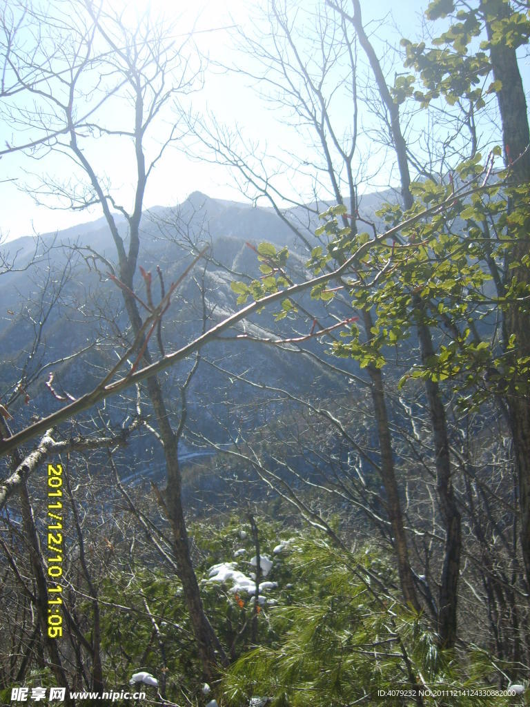 秦岭初雪